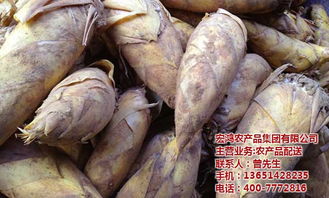绿色引领未来 探秘宏鸿农产品集团无公害蔬菜配送全流程