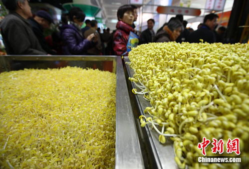 江苏台湾1600多种农产品登陆南京 食用农产品成主打亮点